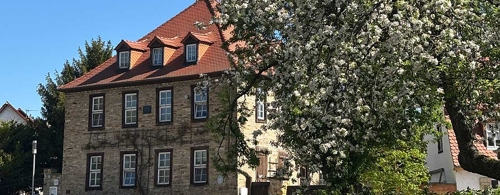 Blick-in-die-Goethestraße.jpg