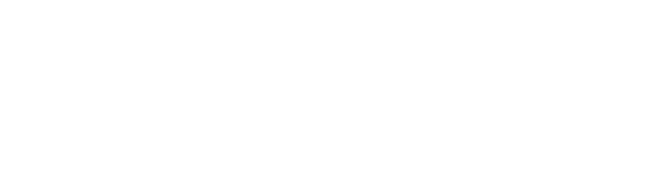 W_B_Bergmannstr_Halle_weiss.png